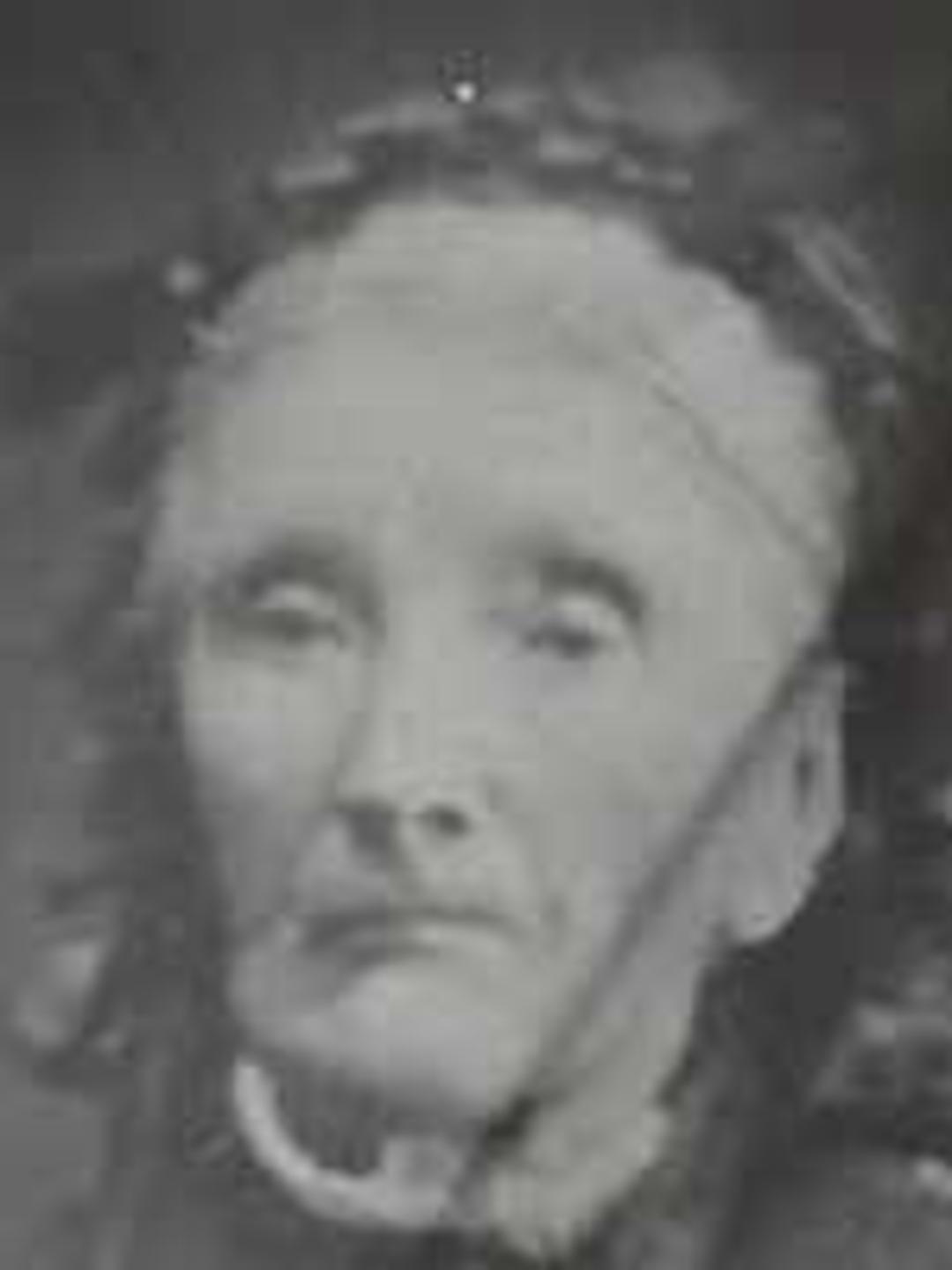 Lucy Lewis (1812 - 1880) Profile